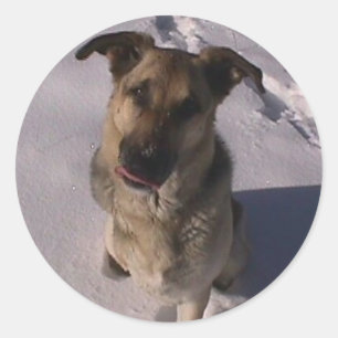 Autocollant personnalisable