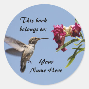 Autocollant personnalisable pour colibri