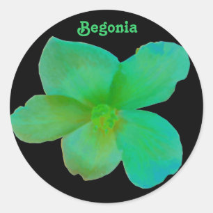 Autocollant personnalisé Green Begonia