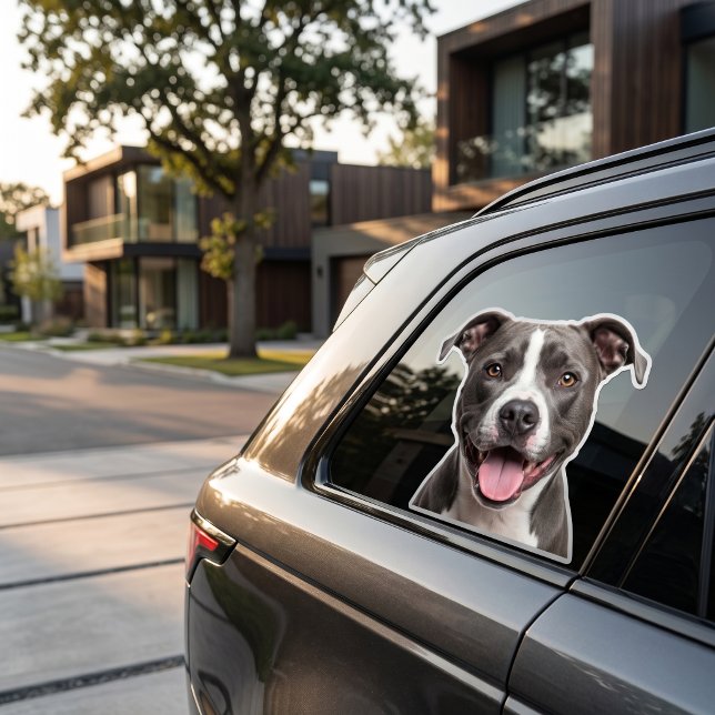 Autocollant personnalisé pour animaux de compagnie (Créateur téléchargé)