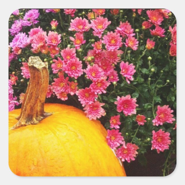 autocollant photo instagram (Devant)