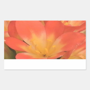 Autocollant plante Clivias