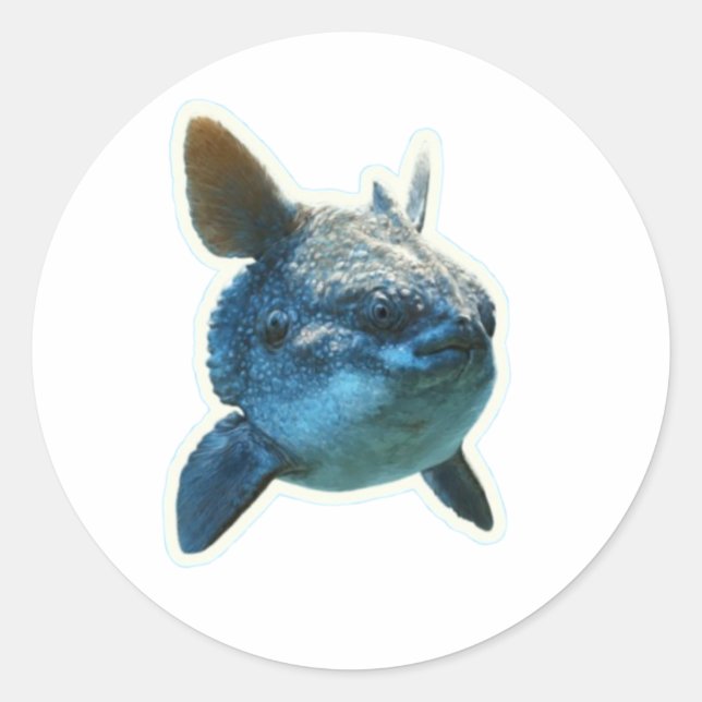 Autocollant Poisson-Lune (Mola Mola) - Bali (Devant)