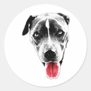 Autocollant Portrait Langue Rouge Pit Mix