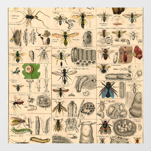 Autocollant Pour Fenêtre Abeille Insecte Bug Wasp Nature Peinture des abeil