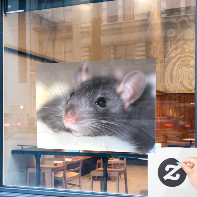 Autocollant Pour Fenêtre Adorable (Fenêtre de café)