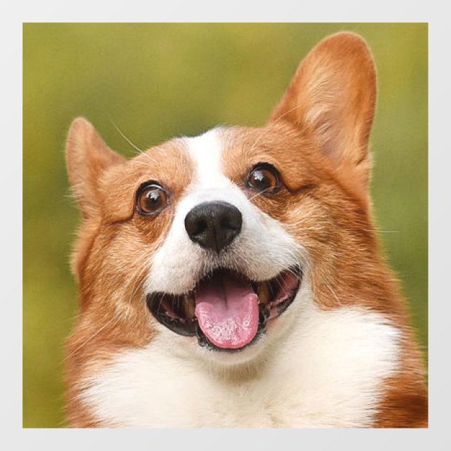 Autocollant Pour Fenêtre Ajouter photo de chien personnalisé Customisé (Feuille)