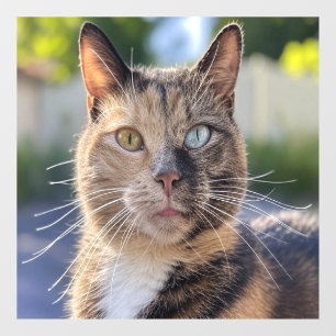 Autocollant Pour Fenêtre Ajouter une Personnaliser photo de chat