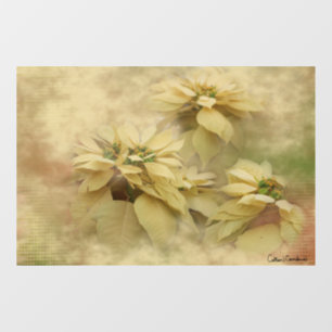 Autocollant Pour Fenêtre Art numérique Poinsettias couleur crème