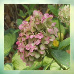 Autocollant Pour Fenêtre Autumn Hydrangea Bloom avec Golden Hosta Feuilles