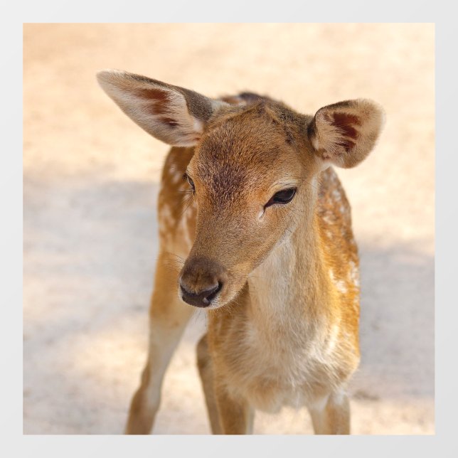 Autocollant Pour Fenêtre Baby Deer (Feuille)