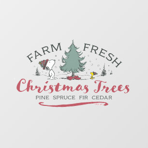 Autocollant Pour Fenêtre cacahuètes   Arbres de Noël frais de ferme