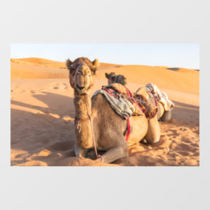 Autocollant Pour Fenêtre Camel dans le désert d'Oman