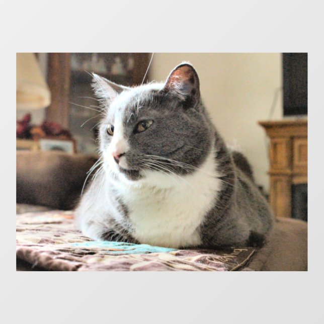 Autocollant Pour Fenêtre Cat (Feuille)