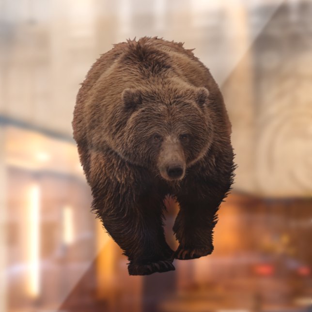 AUTOCOLLANT POUR FENÊTRE CLAIR DE FENÊTRE D'OURS GRIZZLY (Feuille 2)