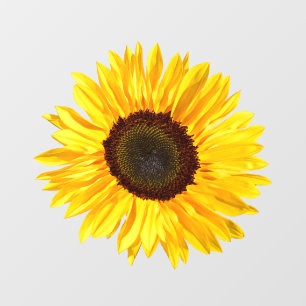Autocollant Pour Fenêtre Clôture de la fenêtre de tournesol jaune