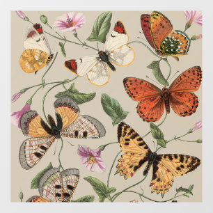 Autocollant Pour Fenêtre Collection de la papillon Moth Nature Dessin