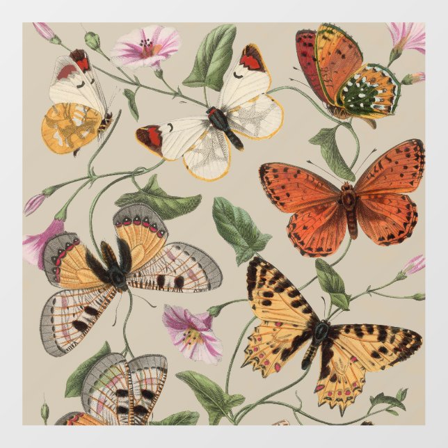 Autocollant Pour Fenêtre Collection de la papillon Moth Nature Dessin (Feuille)