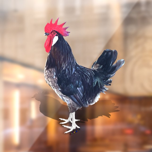 Autocollant Pour Fenêtre Coq de Minorque (Feuille 2)