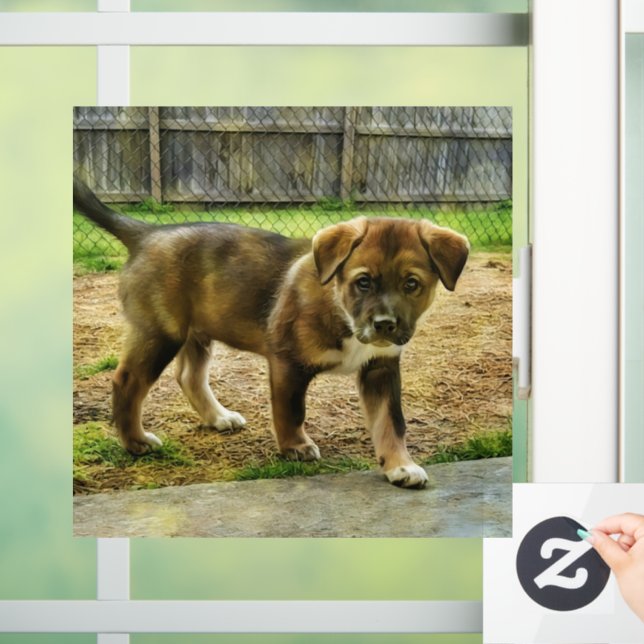 Autocollant Pour Fenêtre Couche de la fenêtre T-Shirt (Maison)