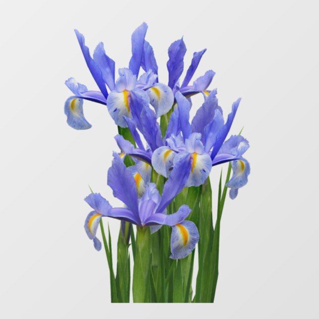 Autocollant Pour Fenêtre Décal de fenêtre 2 - Clôture avant - choisir la ta (Feuille)