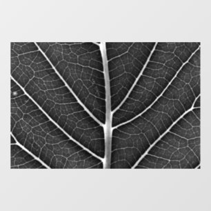 Autocollant Pour Fenêtre Feuille lumineuse noir et blanc en gros plan
