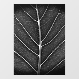 Autocollant Pour Fenêtre Feuille lumineuse noir et blanc en gros plan
