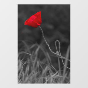 Autocollant pour fenêtre - Fleur de pavot rouge