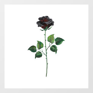 Autocollant Pour Fenêtre Fleur de rose noire