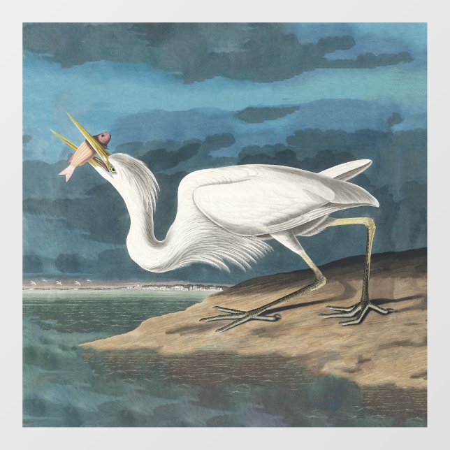 Autocollant Pour Fenêtre Grande Peinture de la faune d'Audubon Heron blanc (Feuille)