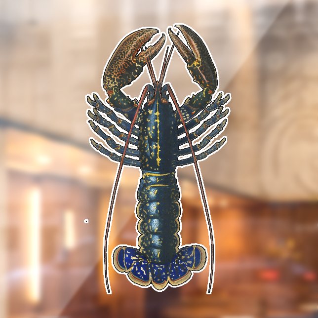 Autocollant Pour Fenêtre Homard Coquillages Fruits de mer Maine Classique O (Feuille 2)