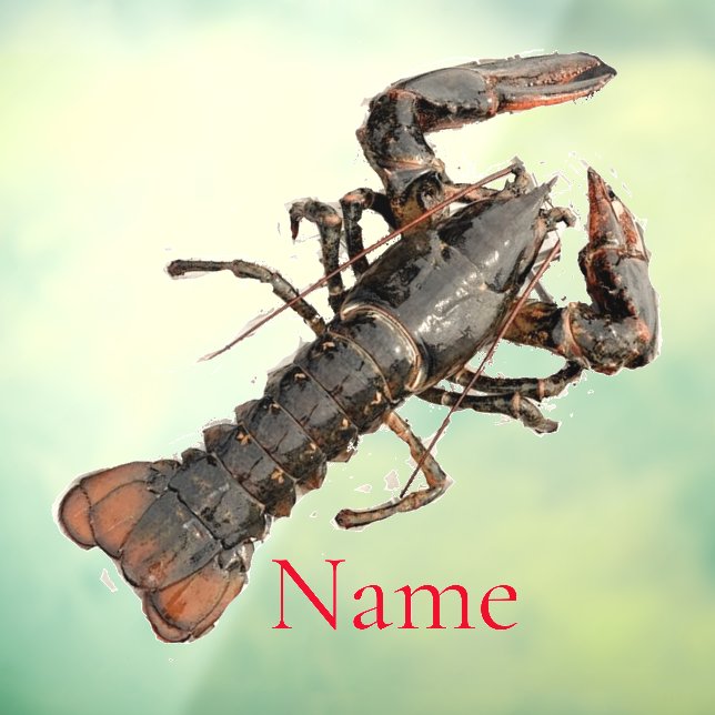 Autocollant Pour Fenêtre Homard frais du Maine Thunder_Cove (Feuille 3)