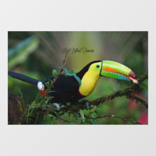 Autocollant Pour Fenêtre Keel Billed Toucan