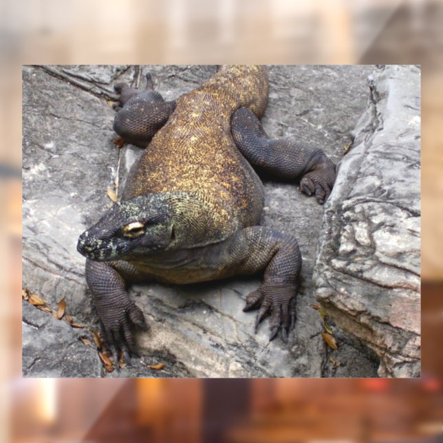 Autocollant Pour Fenêtre Komodo Dragon Sunlit Rock Scene (Feuille 2)