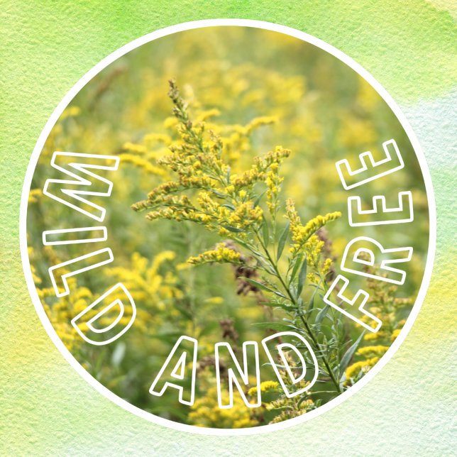 Autocollant Pour Fenêtre La confiance en soi des Fleurs sauvages sauvages e (Créateur téléchargé)