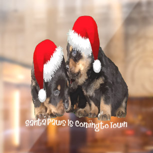 Autocollant Pour Fenêtre Le Père Paws Arrive En Ville Mignon Rottweiler Noë