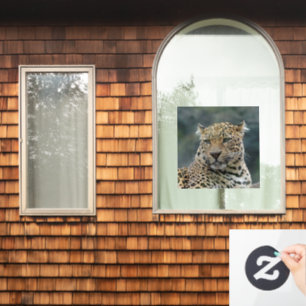 Autocollant Pour Fenêtre Leopard 006