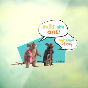 Autocollant Pour Fenêtre Les Rats Sont Mignons Mais Plutôt Stinky