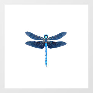 Autocollant Pour Fenêtre Libellule bleue - Ento amateur d'insectes faune