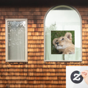 Autocollant Pour Fenêtre Lion 22