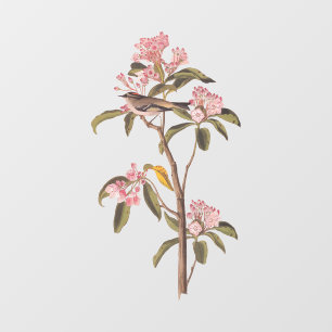 Autocollant Pour Fenêtre L'Oiseau de couvier d'Audubon sur Calico Rose