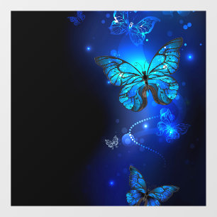 Autocollant Pour Fenêtre Morpho Butterfly in the Dark Background