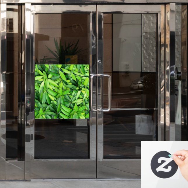 Autocollant Pour Fenêtre Motif Feuille verdoyant - Nature Botanique (Porte de bureau)