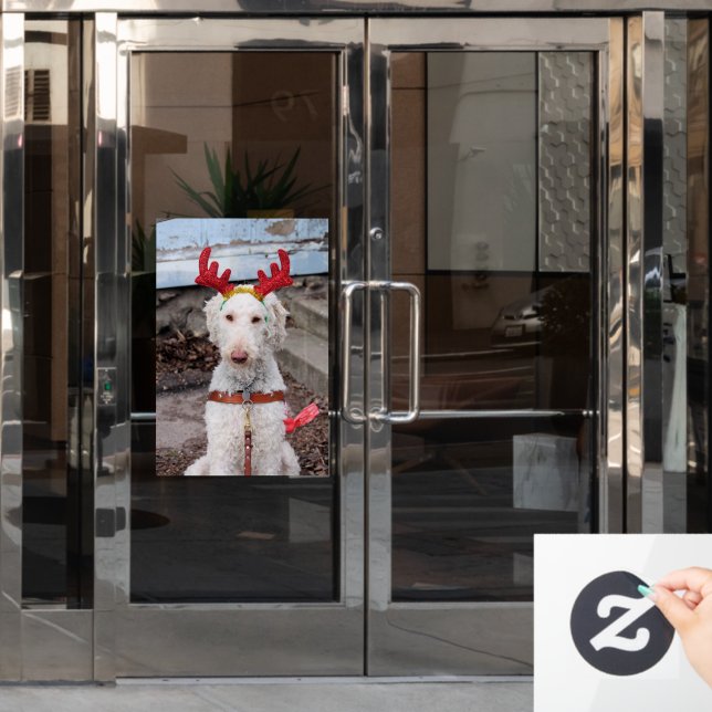 Autocollant Pour Fenêtre Noël Ollie (Porte de bureau)