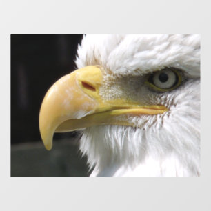 AUTOCOLLANT POUR FENÊTRE OISEAU D'AGLE