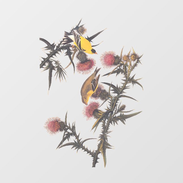 Autocollant Pour Fenêtre Oiseaux américains d'Audubon Goldfinch (Feuille)