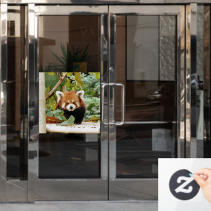 Autocollant Pour Fenêtre Panda rouge