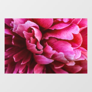 Autocollant pour fenêtre - Pétales de pivoine rose