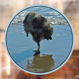 Autocollant Pour Fenêtre Photographie de Keeshond Ballet - Art original de 