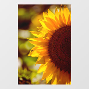 Autocollant pour fenêtre - Photographie de tournes